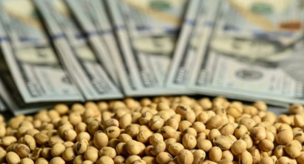 Maizar, dólar agro, Impuesto PAÍS, agro