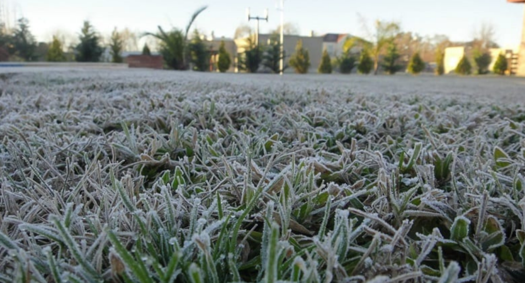 clima, campo, lluvias, temperatura, heladas