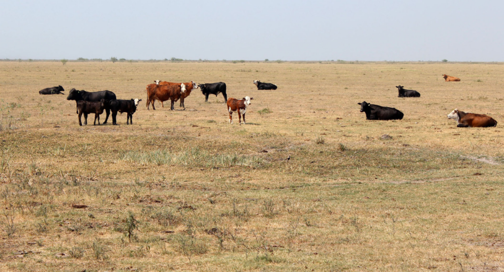 Lluvias, sequía, campo