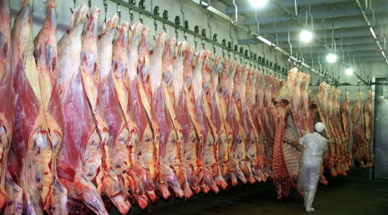 Exportacion carne