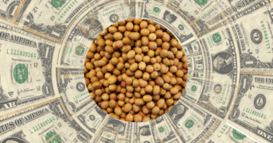 Dólar, exportación, cereales, liquidación, divisas, agro, mayo