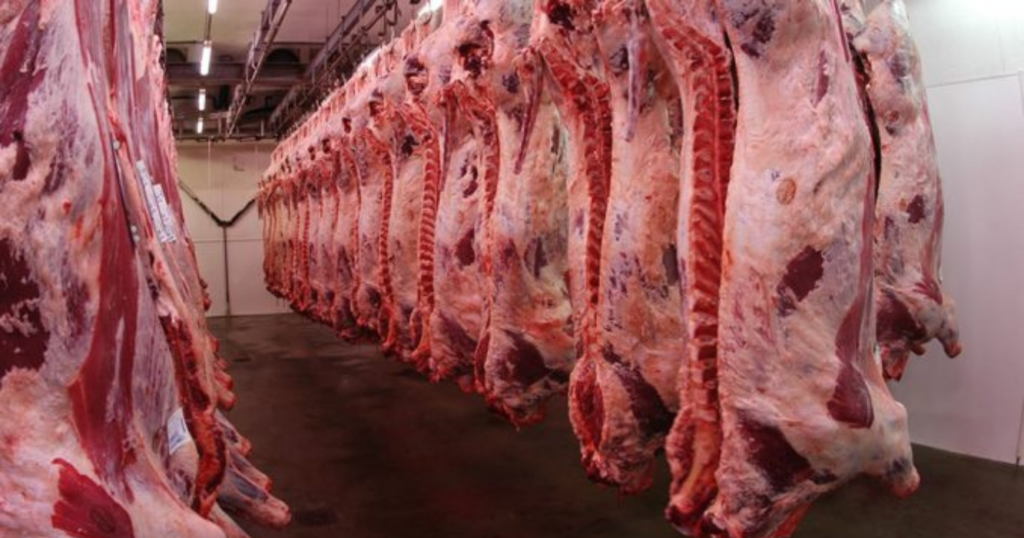 Faena, bovinos, 2024, Exportaciones, carne, Europa, Israel, Argentina, crecimiento, Javier Milei, superávit, frigoríficos, regulaciones, eliminación, Santa Fe, consumo, vacunos