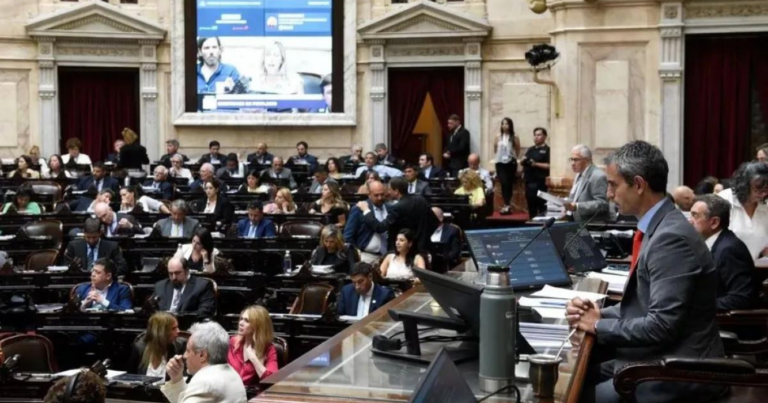 Diputados, ley óminibus