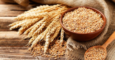 trigo, china, maíz, arroz, exportaciones, DJVE, https://www.decamponoticias.com/505-millones-de-toneladas-la-cosecha-de-soja-duplico-la-campana-anterior/