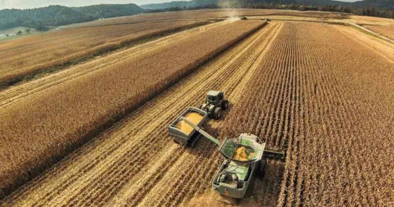 Impuesto PAÍS, agro, Maíz, soja, cosecha, ola de calor, mercados, cosecha gruesa, lluvia, El Niño, créditos, gobierno, La Niña, gruesa, campo, cosecha, RIDA, ley agrobioindustrial,