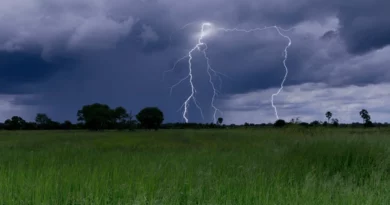 Alerta amarilla, naranja, zona núcleo, país, clima