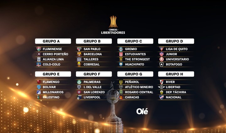 Copa Libertadores, Sudamericana, equipos argentinos