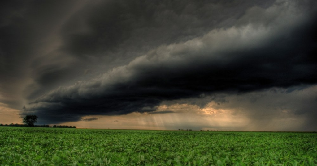 Seguros agrícolas, producción, lluvias, tormentas, cosecha, clima