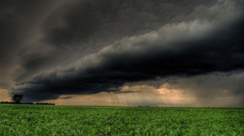 Seguros agrícolas, producción, lluvias, tormentas, cosecha, clima, campo, primavera 2024