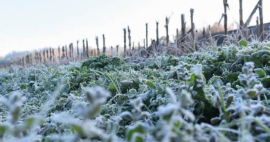 Invierno, 2024, pronóstico