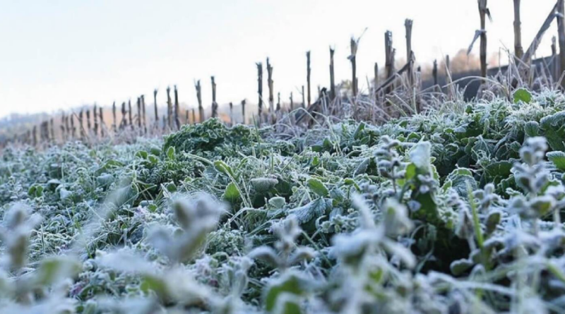 Invierno, 2024, pronóstico