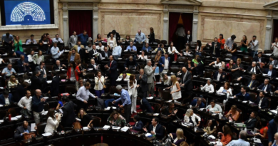 Diputados, Ley de Bases