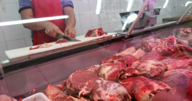 Argentina, consumo, carne, 2024, desinflación, cortes, carne, hacienda