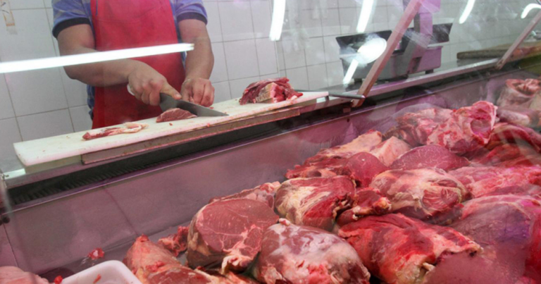 Argentina, consumo, carne, 2024, desinflación, cortes, carne, hacienda, inflación, julio, carne vacuna