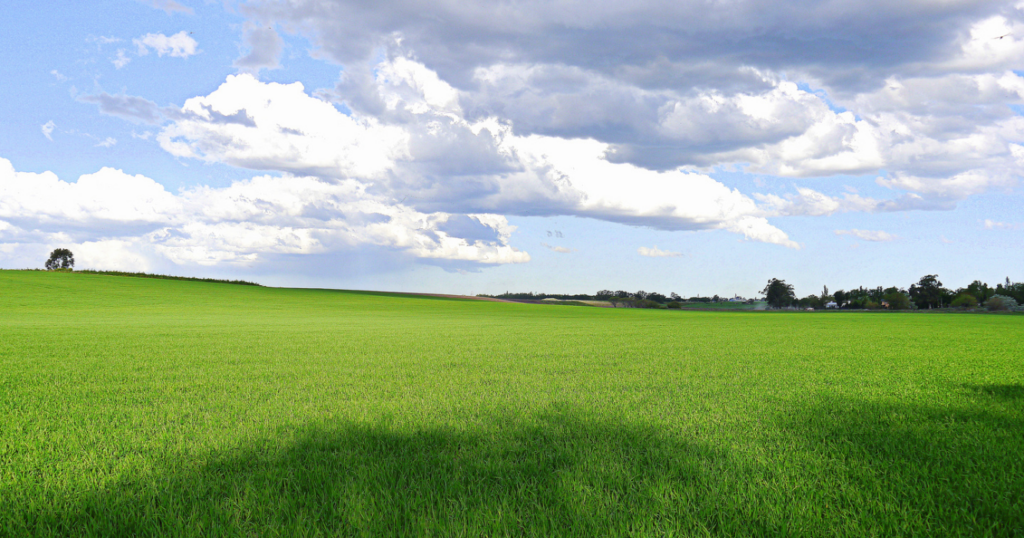 Pronóstico, clima, campo, invierno, 2024