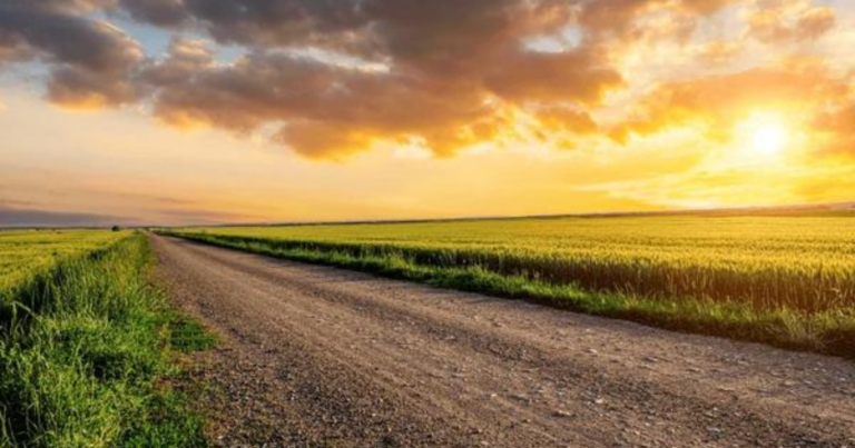 tiempo, campo, pronóstico, clima, La Niña, 2024