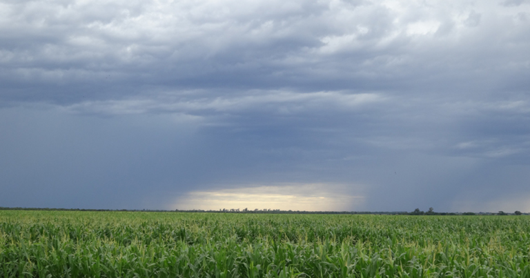 Frío, pronóstico, tiempo, semana