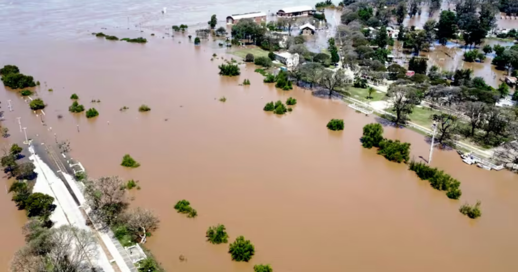 Inundaciones, Brasil, ganadería, Argentina