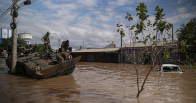 Inundaciones, Brasil, ganadería, Argentina