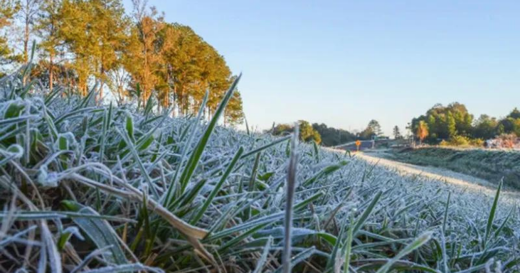 Invierno, 2024, mayo, frío, alerta, roja, ola polar, Patagonia