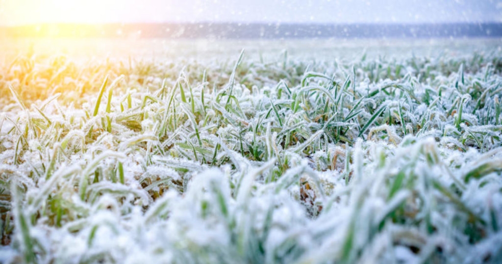 Invierno, 2024, mayo, frío, clima, lluvias, frío