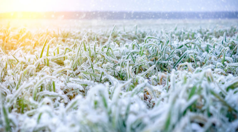 Invierno, 2024, mayo, frío, clima, lluvias, frío, Patagonia