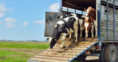 Senasa, transporte, animales