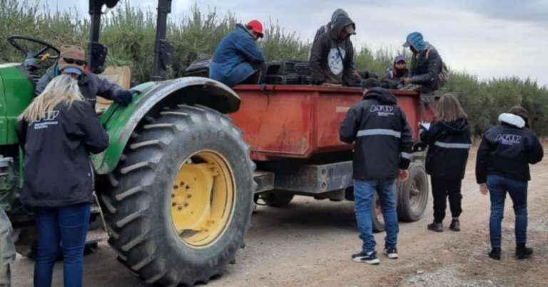 San Juan, AFIP, trabajo esclavo, trabajadores ilegales