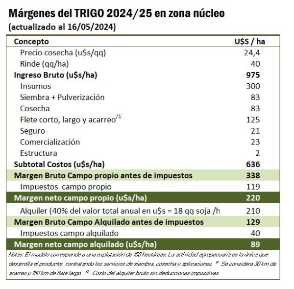 trigo, rentabilidad