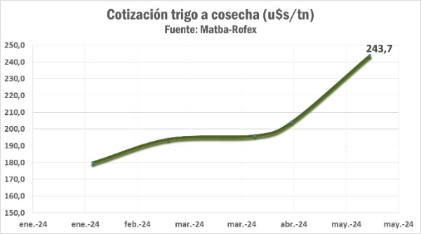 trigo, rentabilidad