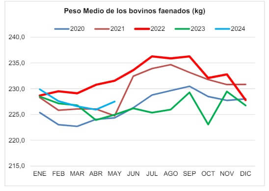 Frigoríficos, novillos, exportadores