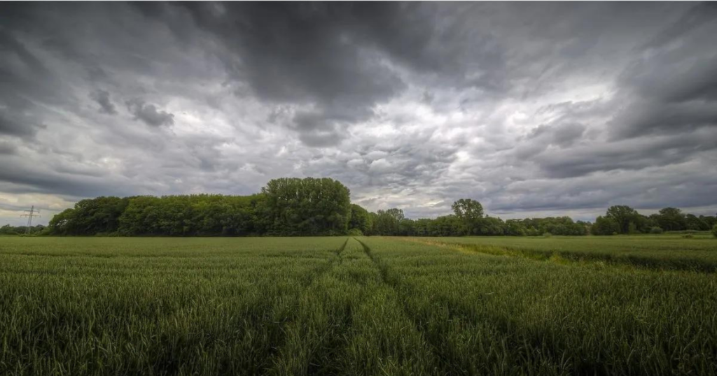 Clima, campo, lluvias, calor, invierno