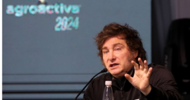 Javier Milei, Agroactiva, retenciones, 2024, RIGI, Gobierno