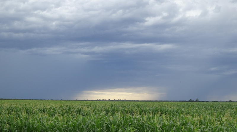 Invierno, 2024, junio, verano, lluvias