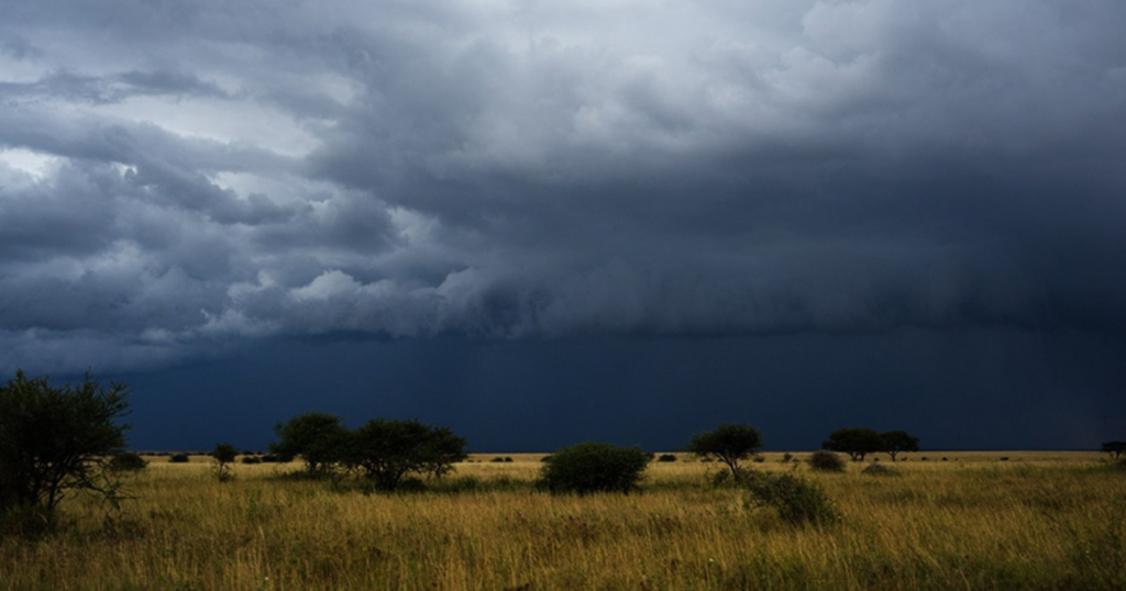 Invierno, 2024, junio, verano, lluvias, campo, heladas