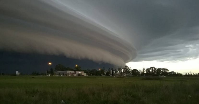 Invierno, 2024, Viento Pampero, frío