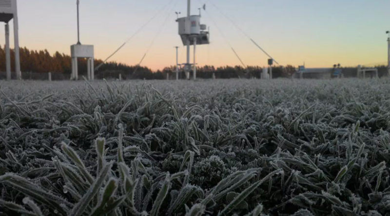 clima, invierno, frío