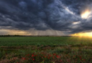 clima, campo, frío, lluvias, La Niña, primavera