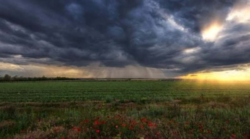 clima, campo, frío, lluvias, La Niña, primavera, Córdoba