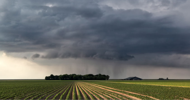 Frío, lluvias, clima, campo