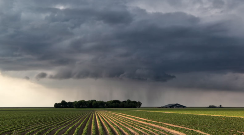 Frío, lluvias, clima, campo, primavera,