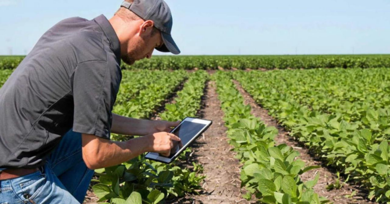 Tecnología, digital, campo, Argentina, Agricultura 5.0,