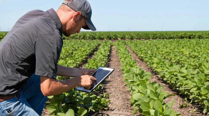 Tecnología, digital, campo, Argentina, Agricultura 5.0,