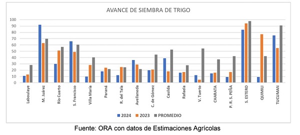 siembra, trigo, niveles