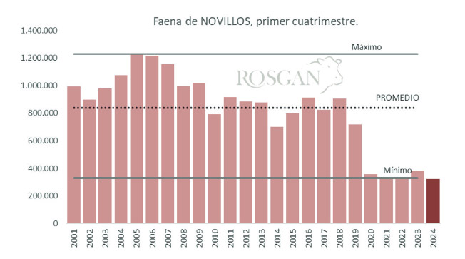 faena, novillos