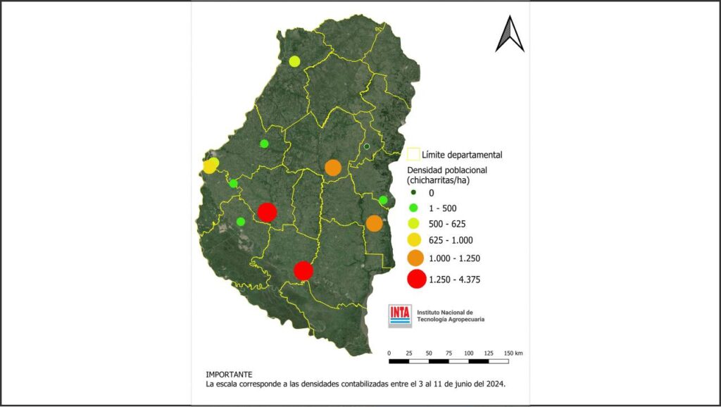 Chicharrita, maíz, Entre Ríos, mapa