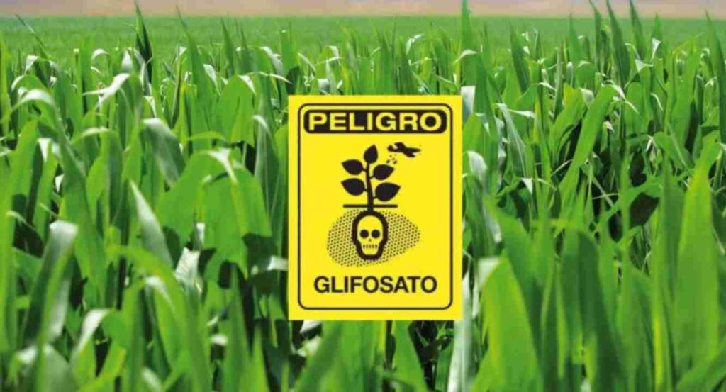 Glifosato, Misiones, prohibición