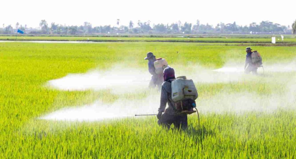 La Pampa, plaguicidas, Glifosato, Misiones, prohibición, Entre Ríos