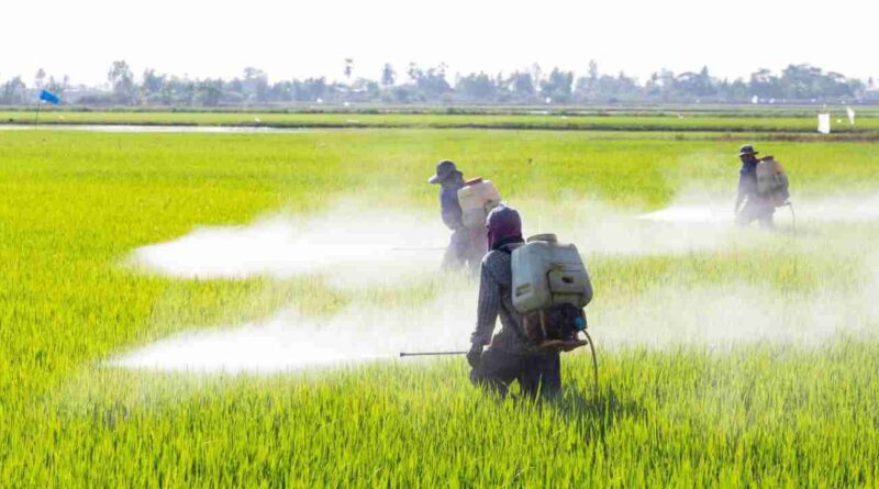 Glifosato, Misiones, prohibición, Entre Ríos