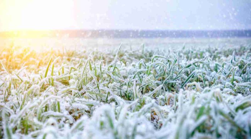 Ola polar, alerta roja, Buenos Aires, La Pampa, San Luis, heladas, Invierno, 2024, lluvias